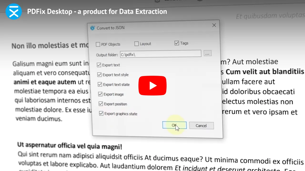PDFix Desktop - a product for Data Extraction. Click to load the Embed YouTube Player to play the video.