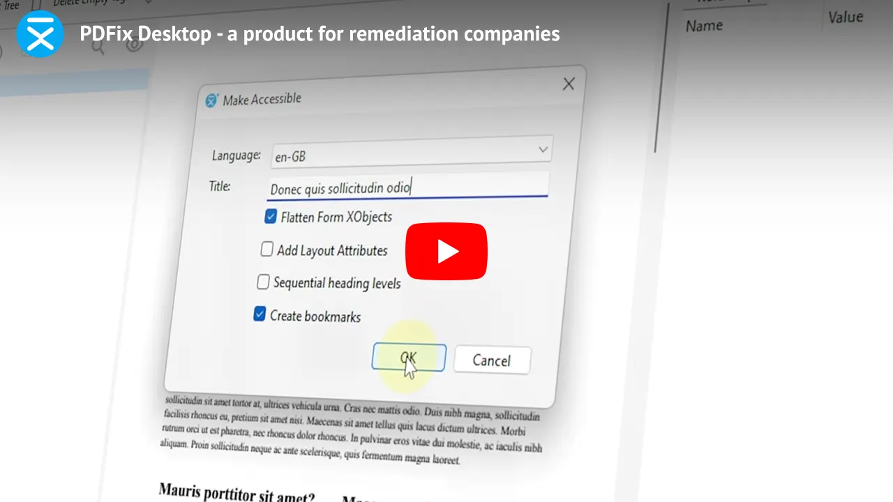 PDFix Desktop - a product for remediation companies. Click to load the Embed YouTube Player to play the video.