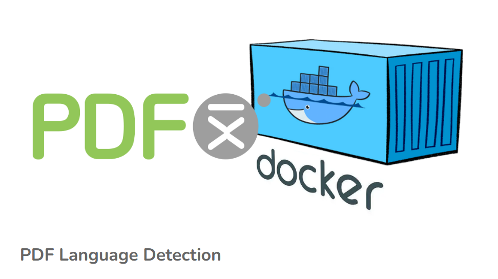 Make PDFs Accessible Faster: The Power of Automatic Language Detection